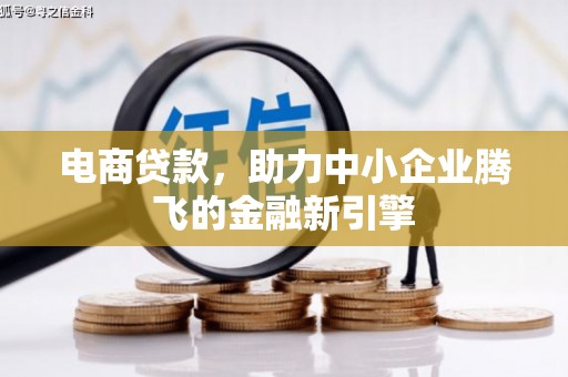 望谟电商贷款，助力中小企业腾飞的金融新引擎