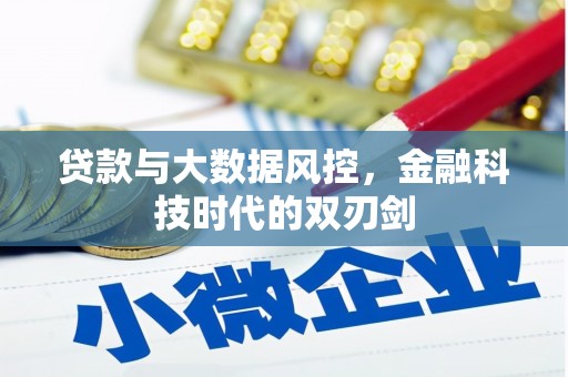 伸港贷款与大数据风控，金融科技时代的双刃剑