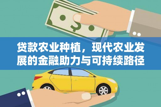 五家渠贷款农业种植，现代农业发展的金融助力与可持续路径