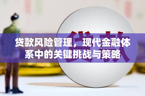 集贤贷款风险管理，现代金融体系中的关键挑战与策略