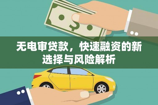 仁爱无电审贷款，快速融资的新选择与风险解析