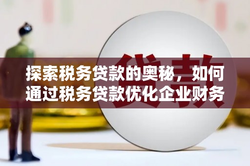 小港探索税务贷款的奥秘，如何通过税务贷款优化企业财务