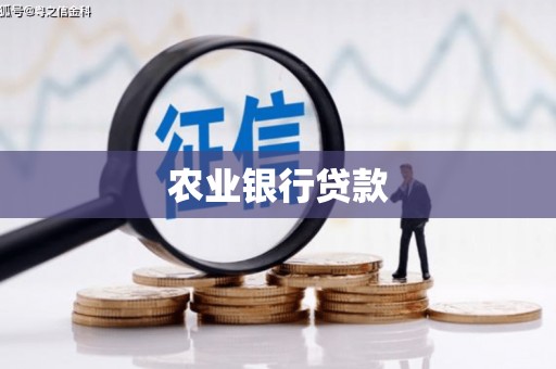 邵东农业银行贷款