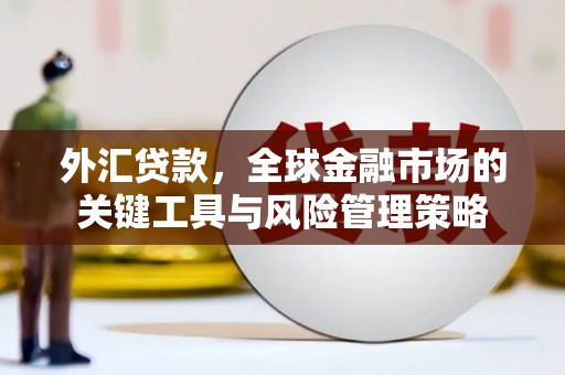 藤县外汇贷款，全球金融市场的关键工具与风险管理策略