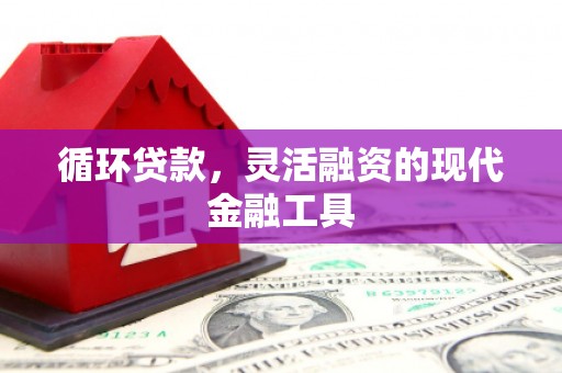 临邑循环贷款，灵活融资的现代金融工具