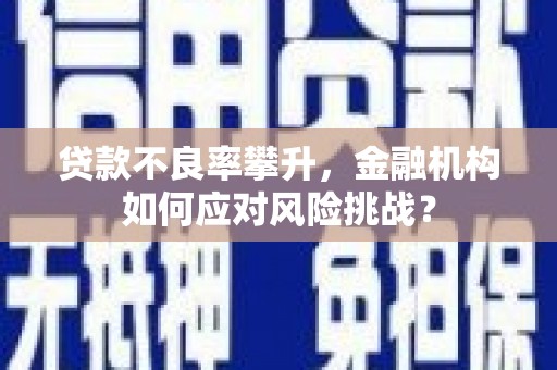 福海贷款不良率攀升，金融机构如何应对风险挑战？