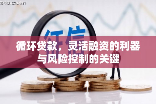 樊城循环贷款，灵活融资的利器与风险控制的关键