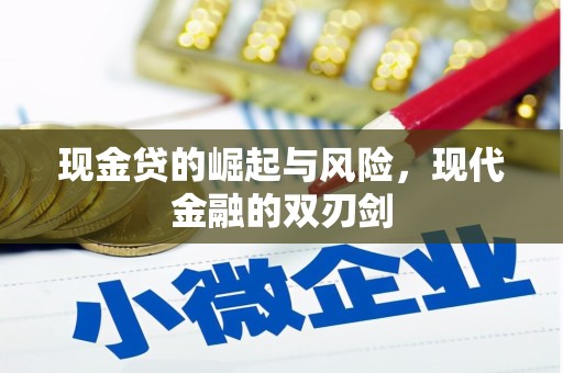 田尾现金贷的崛起与风险，现代金融的双刃剑