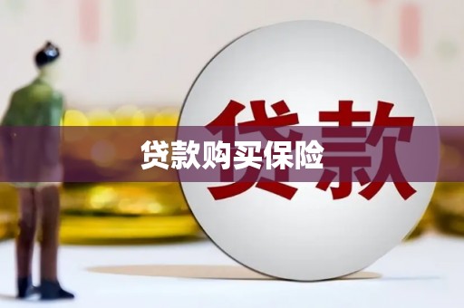 呼兰贷款购买保险