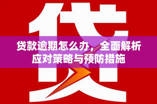 田中贷款逾期怎么办，全面解析应对策略与预防措施