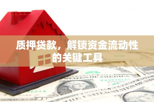 昂仁质押贷款，解锁资金流动性的关键工具