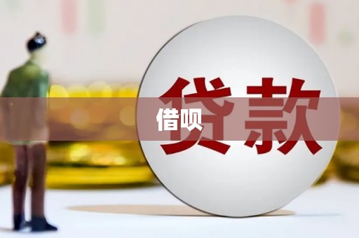 新蔡借呗