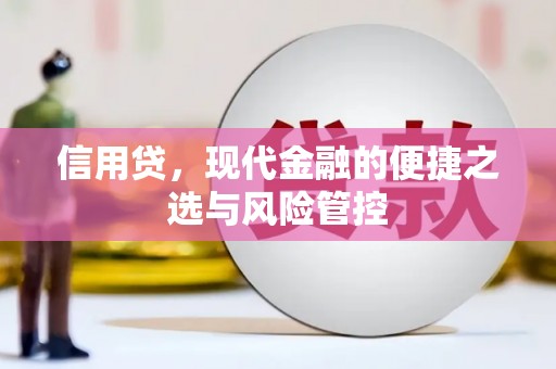 埇桥信用贷，现代金融的便捷之选与风险管控