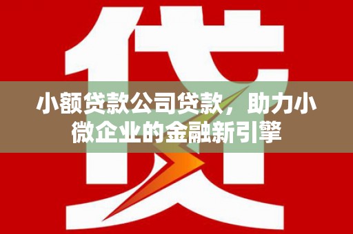 鹿野小额贷款公司贷款，助力小微企业的金融新引擎