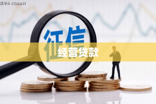 千阳经营贷款