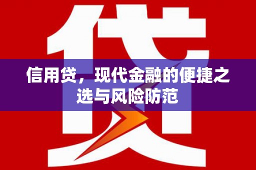 威海信用贷，现代金融的便捷之选与风险防范
