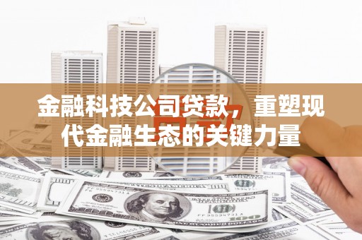 秀洲金融科技公司贷款，重塑现代金融生态的关键力量