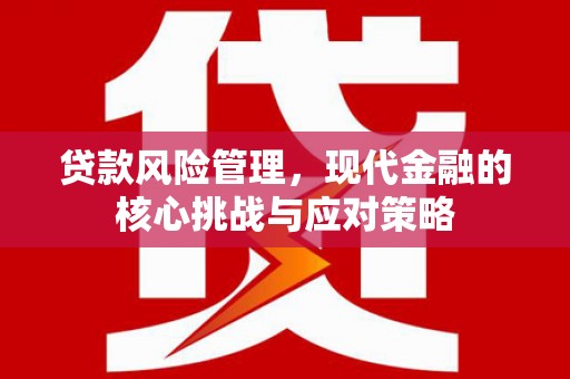 玉井贷款风险管理，现代金融的核心挑战与应对策略