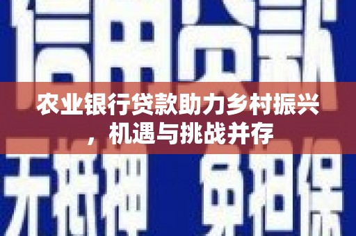 大观农业银行贷款助力乡村振兴，机遇与挑战并存