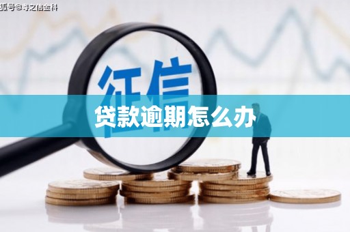 黄骅贷款逾期怎么办