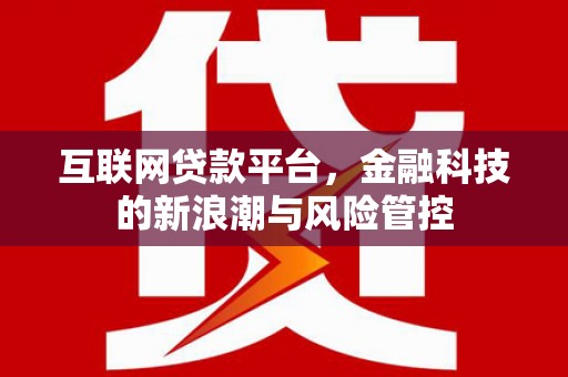 武城互联网贷款平台，金融科技的新浪潮与风险管控