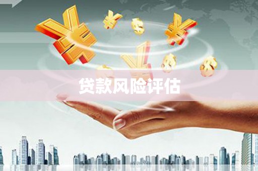 良庆贷款风险评估