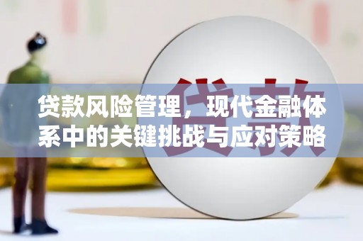鄢陵贷款风险管理，现代金融体系中的关键挑战与应对策略