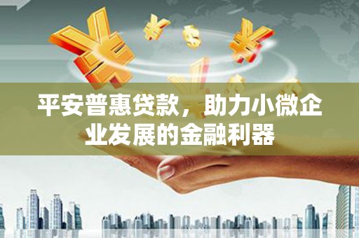 海端平安普惠贷款，助力小微企业发展的金融利器