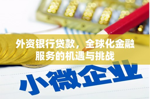 永定外资银行贷款，全球化金融服务的机遇与挑战