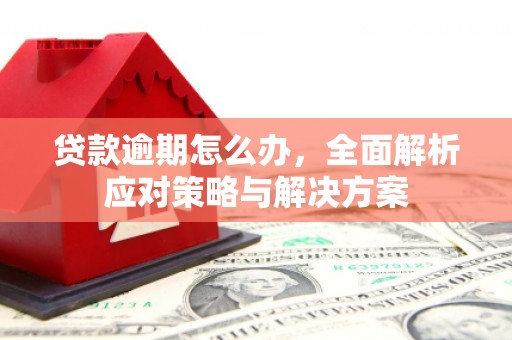 开化贷款逾期怎么办，全面解析应对策略与解决方案
