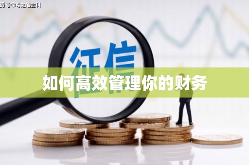 马边如何高效管理你的财务