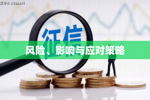 阜城风险、影响与应对策略